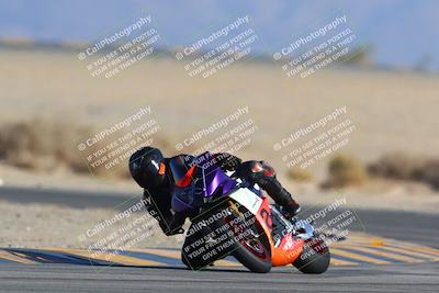 media/Jan-14-2024-SoCal Trackdays (Sun) [[2e55ec21a6]]/Turn 4 Tree of Life (155pm)/